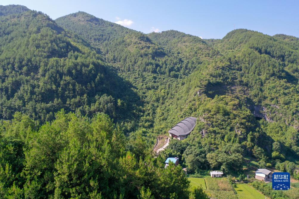 电子注册送礼金